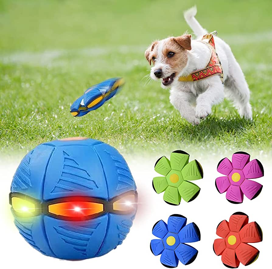 Frisball™